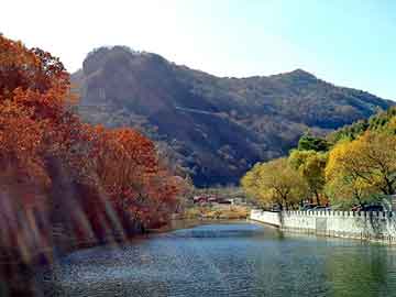 新澳天天开奖资料大全旅游团，chinabug